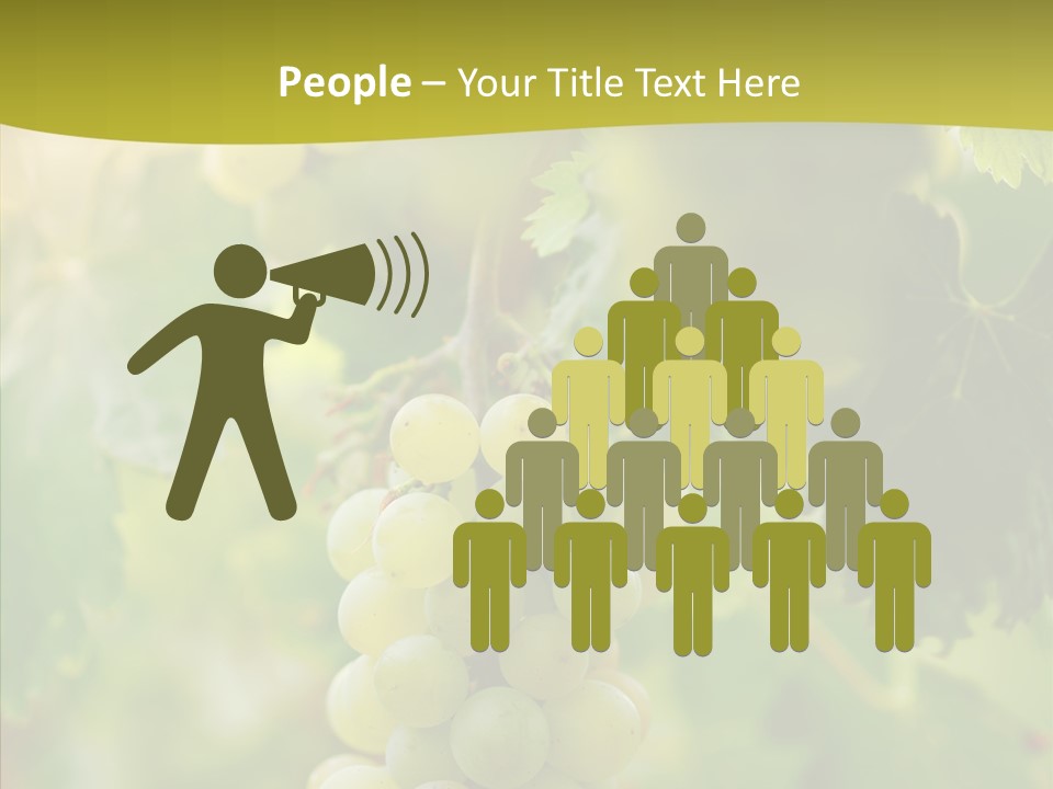 Bright Winemaking Beauty PowerPoint Template