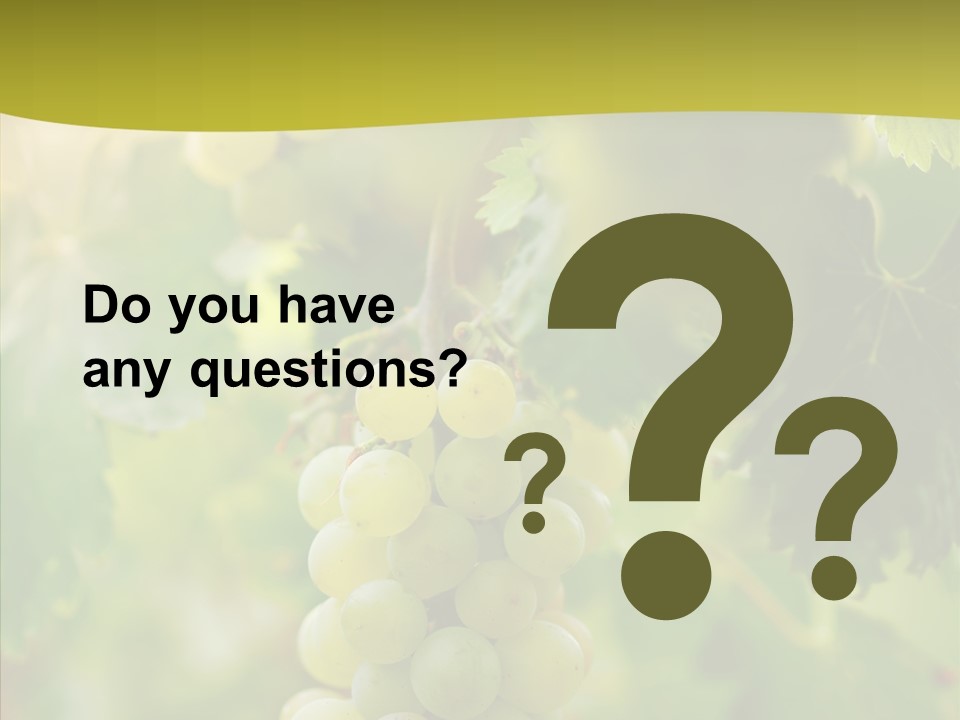 Bright Winemaking Beauty PowerPoint Template