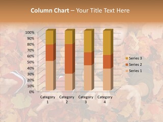 Close Up Play Autumn PowerPoint Template