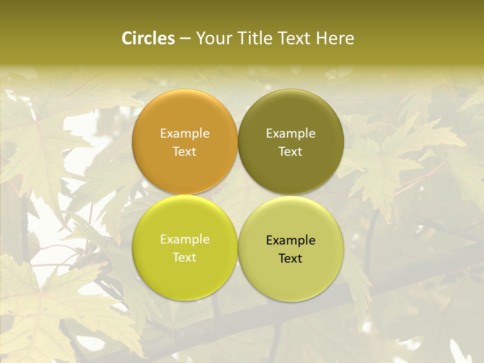 Surprise Season Red PowerPoint Template