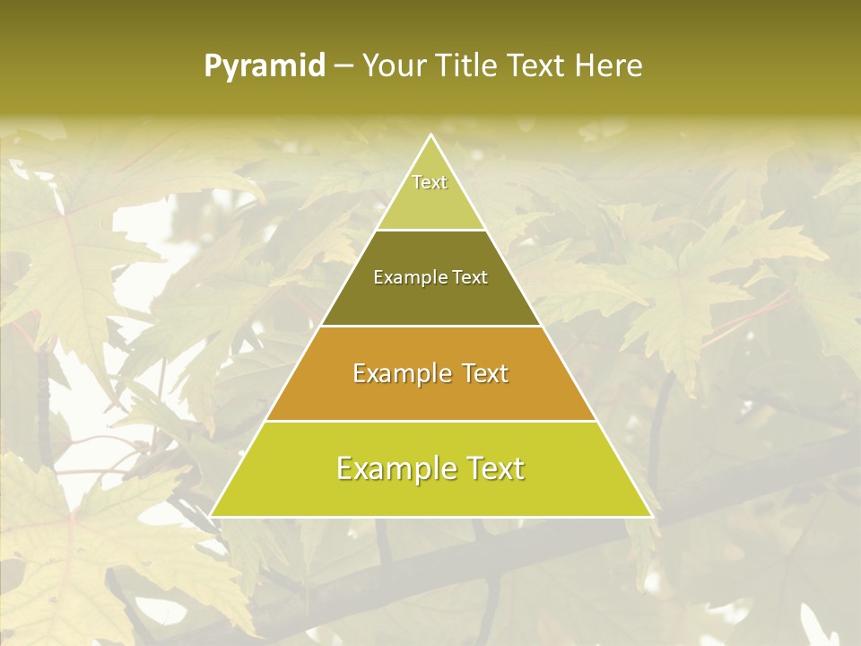 Surprise Season Red PowerPoint Template