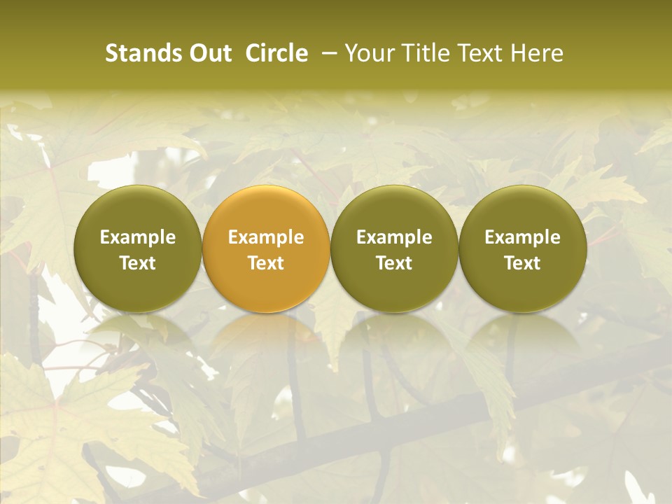 Surprise Season Red PowerPoint Template