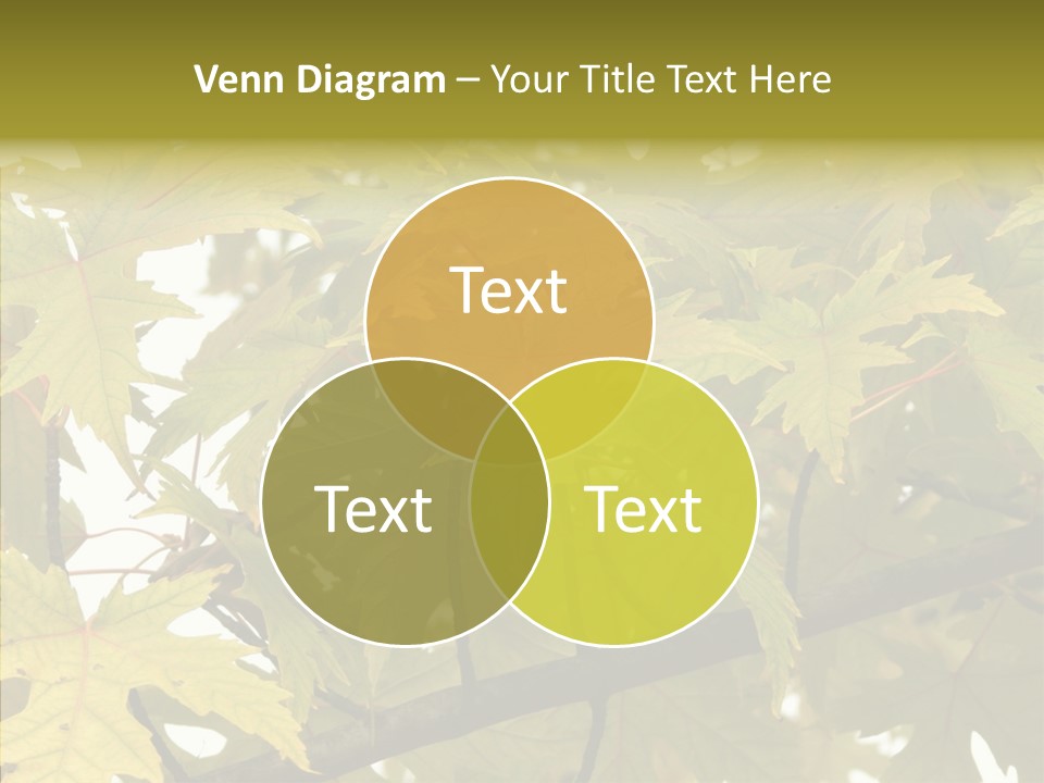 Surprise Season Red PowerPoint Template