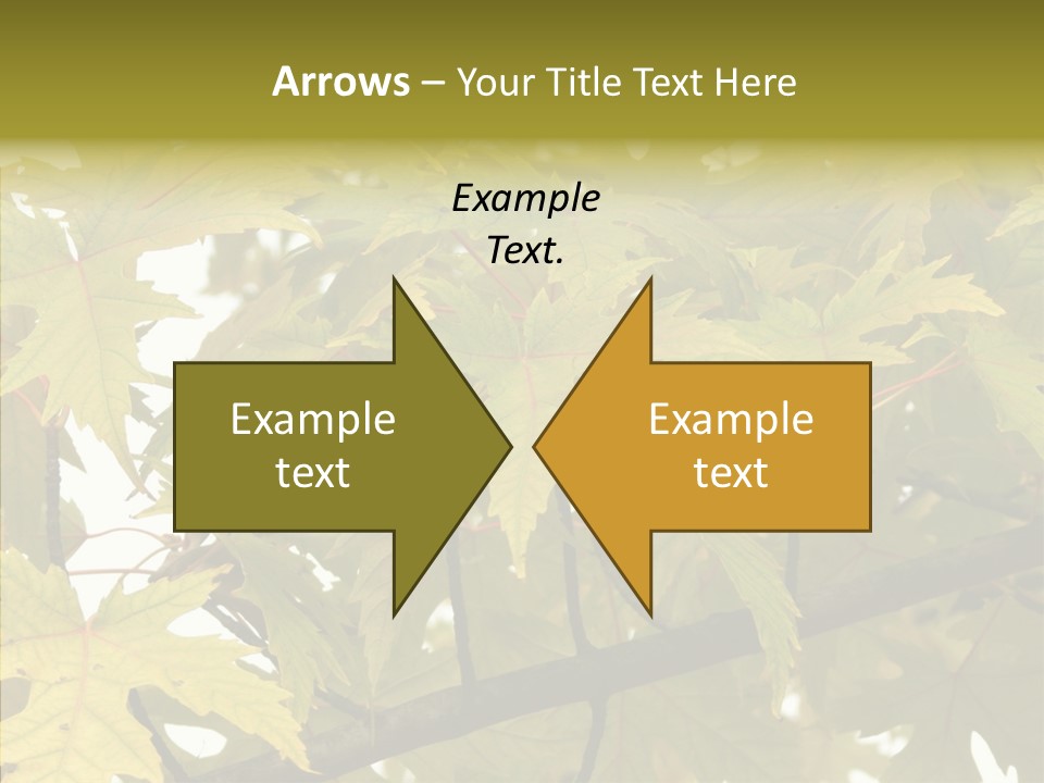 Surprise Season Red PowerPoint Template