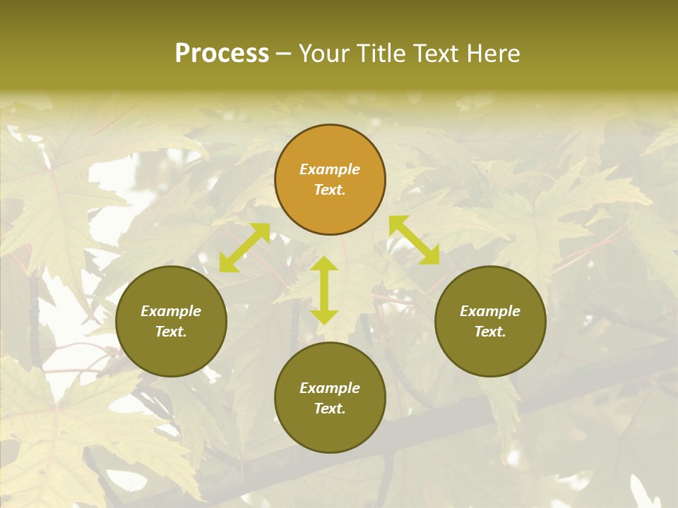 Surprise Season Red PowerPoint Template