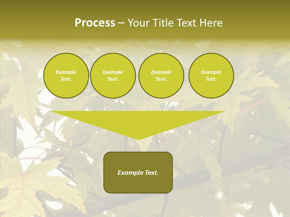 Surprise Season Red PowerPoint Template