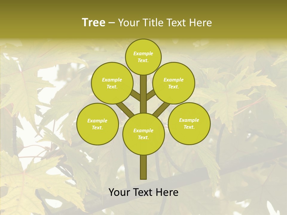 Surprise Season Red PowerPoint Template