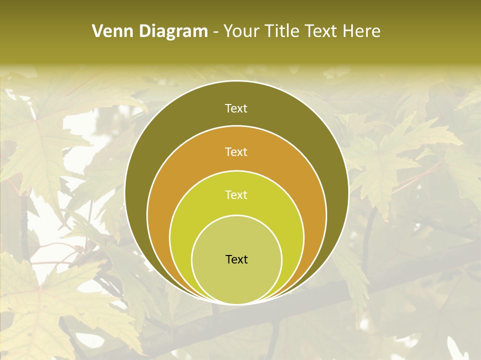Surprise Season Red PowerPoint Template