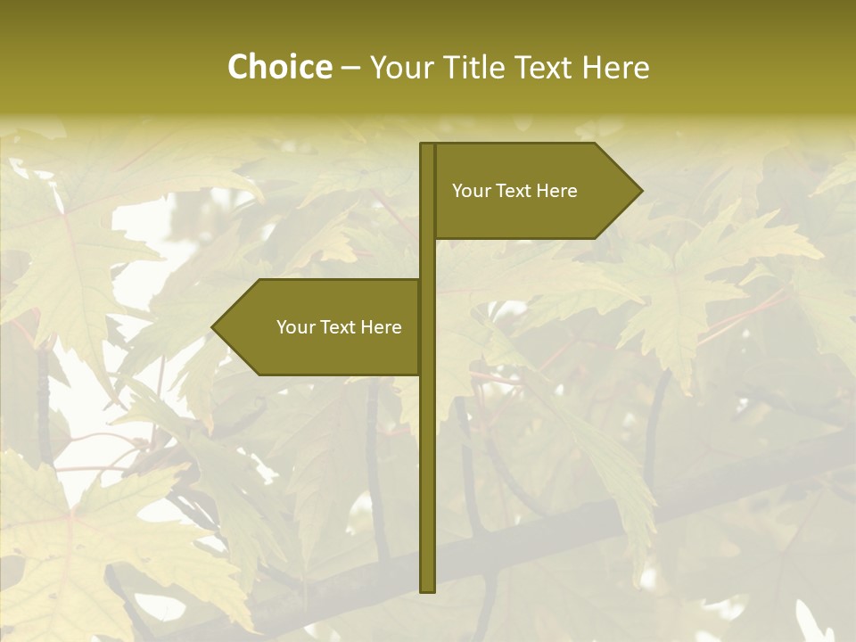 Surprise Season Red PowerPoint Template