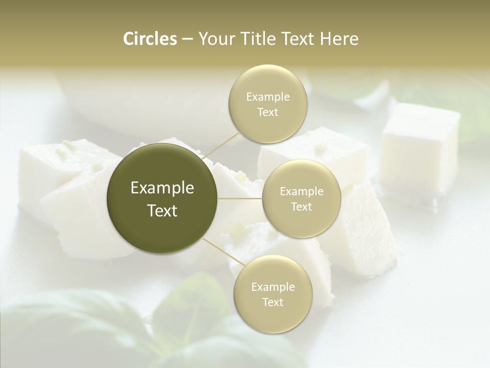 Communication Group Profe Ional PowerPoint Template