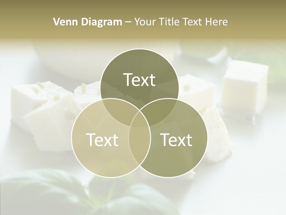 Communication Group Profe Ional PowerPoint Template