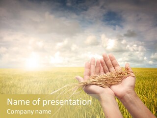 Farm Crop Harvest PowerPoint Template