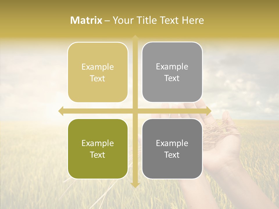 Farm Crop Harvest PowerPoint Template