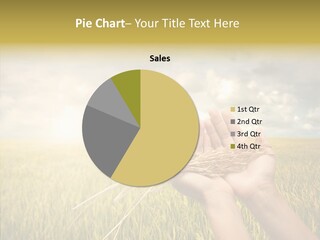 Farm Crop Harvest PowerPoint Template