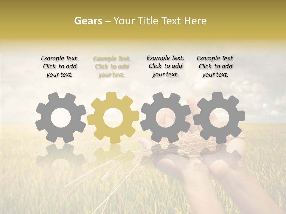 Farm Crop Harvest PowerPoint Template