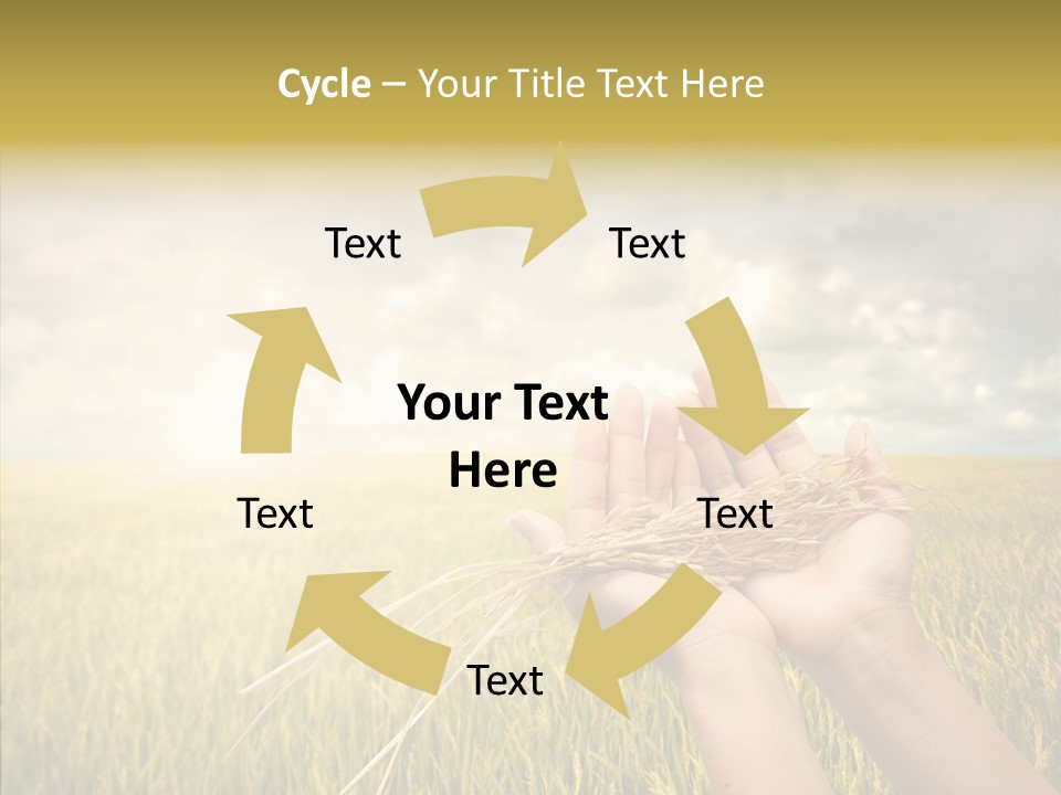 Farm Crop Harvest PowerPoint Template
