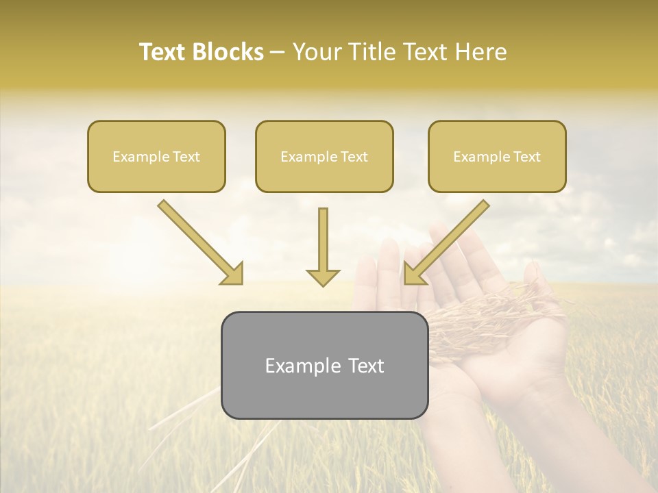 Farm Crop Harvest PowerPoint Template