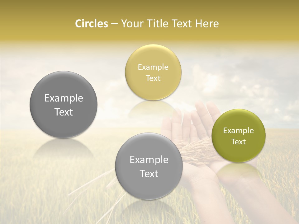 Farm Crop Harvest PowerPoint Template