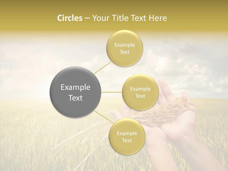 Farm Crop Harvest PowerPoint Template