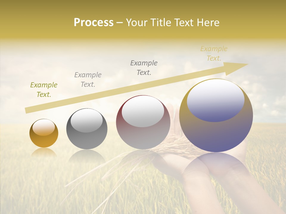 Farm Crop Harvest PowerPoint Template