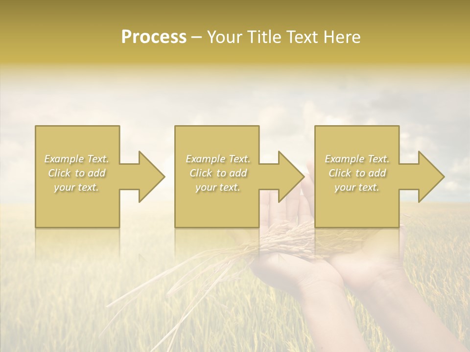 Farm Crop Harvest PowerPoint Template