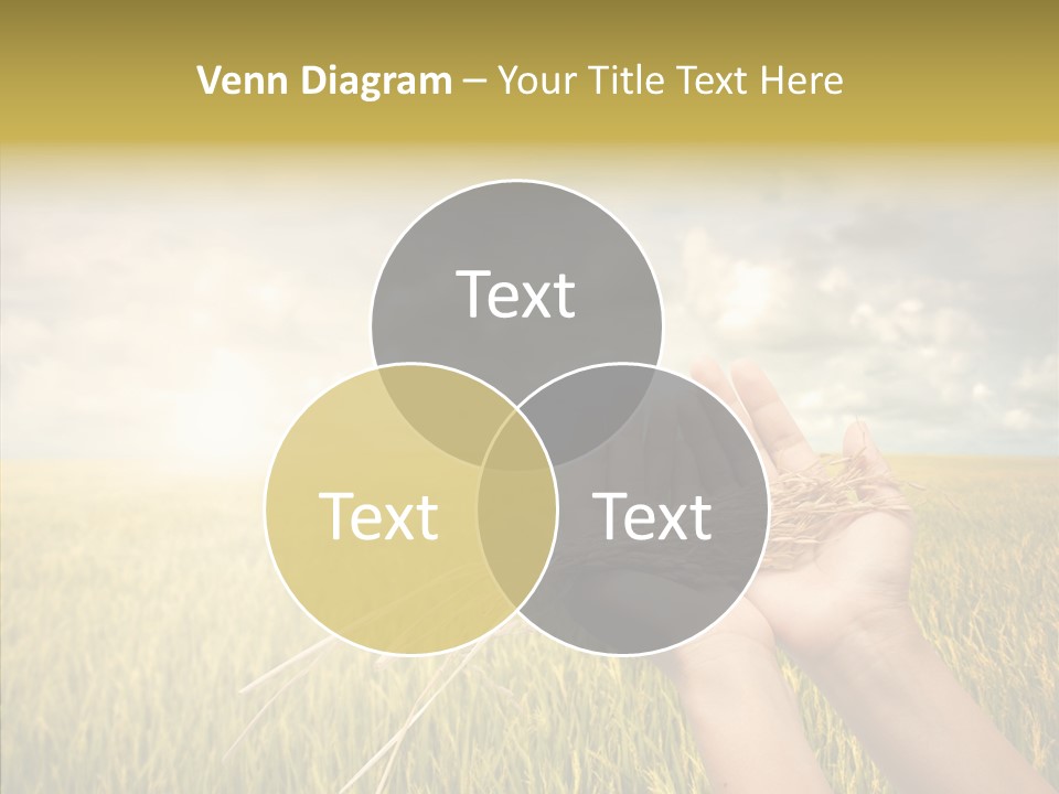 Farm Crop Harvest PowerPoint Template