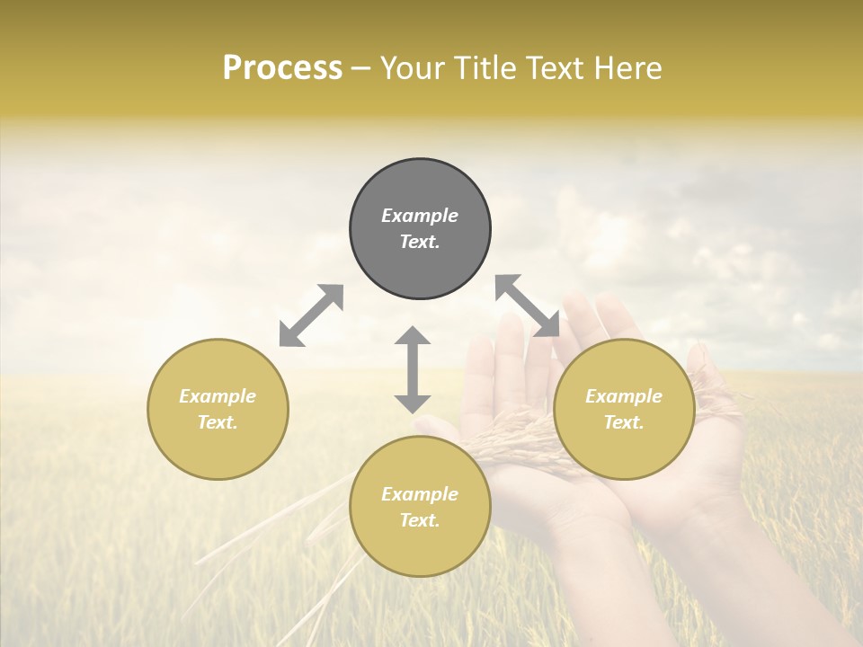 Farm Crop Harvest PowerPoint Template
