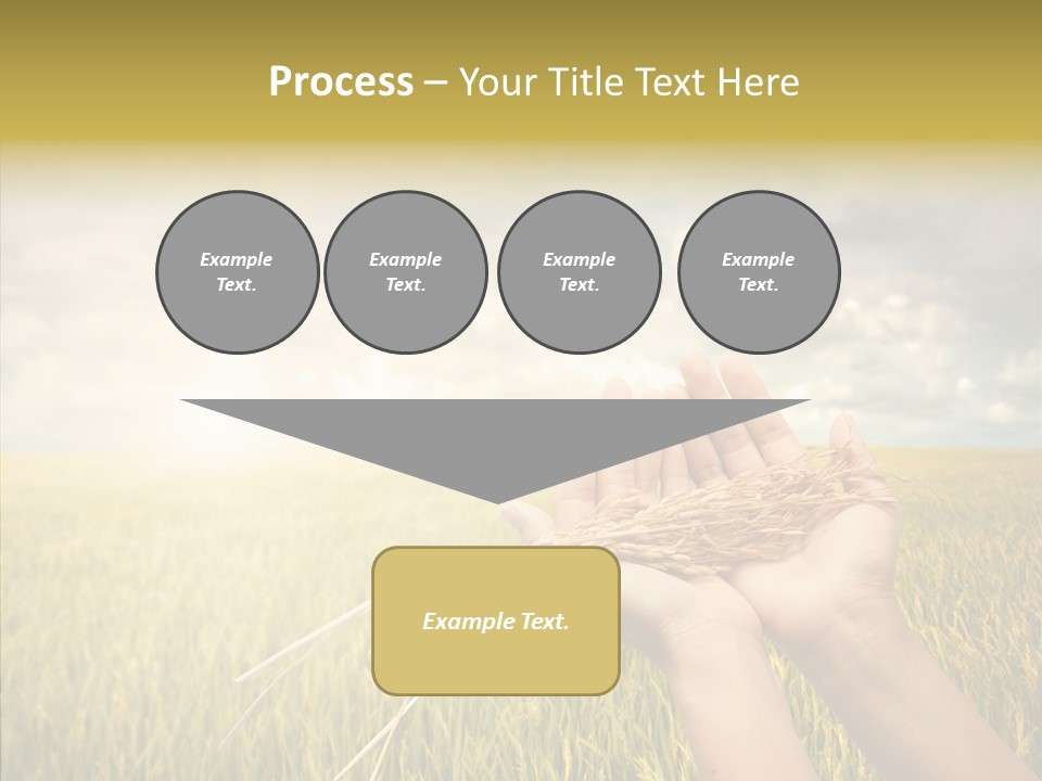Farm Crop Harvest PowerPoint Template