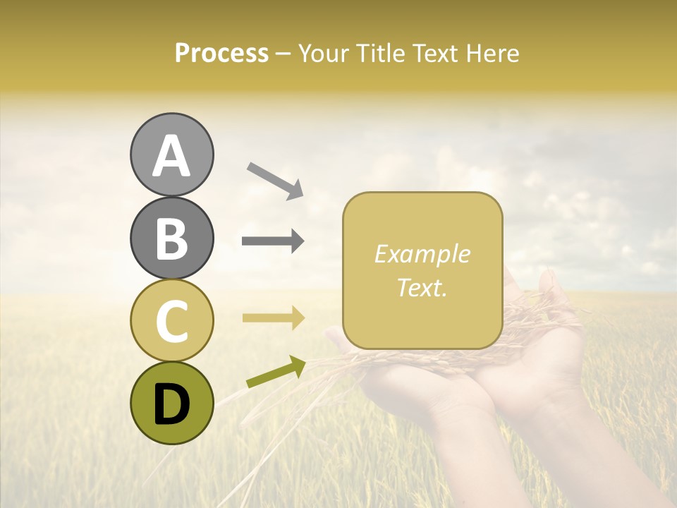Farm Crop Harvest PowerPoint Template