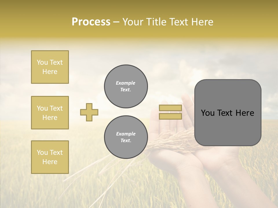 Farm Crop Harvest PowerPoint Template