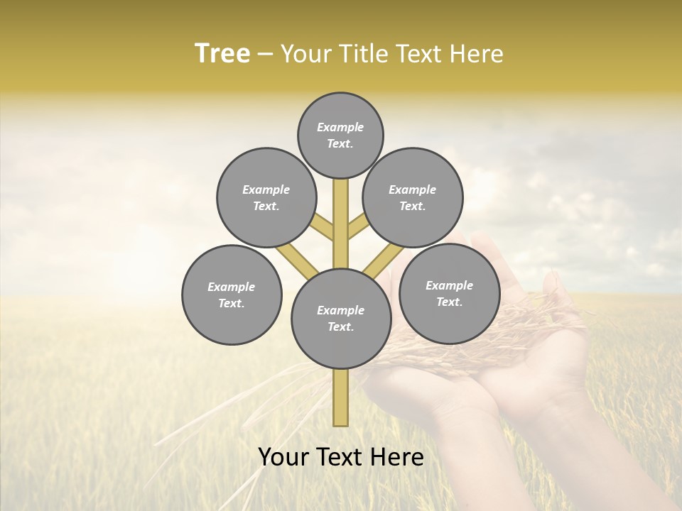 Farm Crop Harvest PowerPoint Template