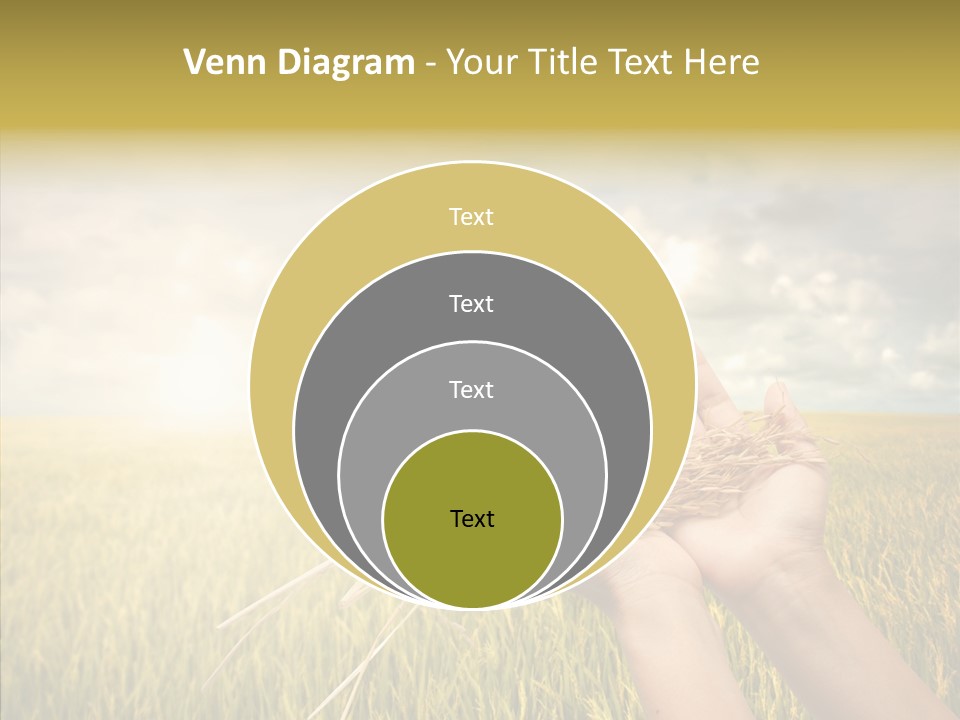 Farm Crop Harvest PowerPoint Template