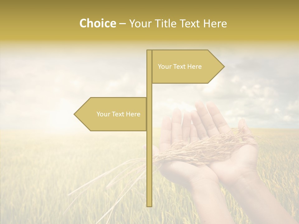 Farm Crop Harvest PowerPoint Template