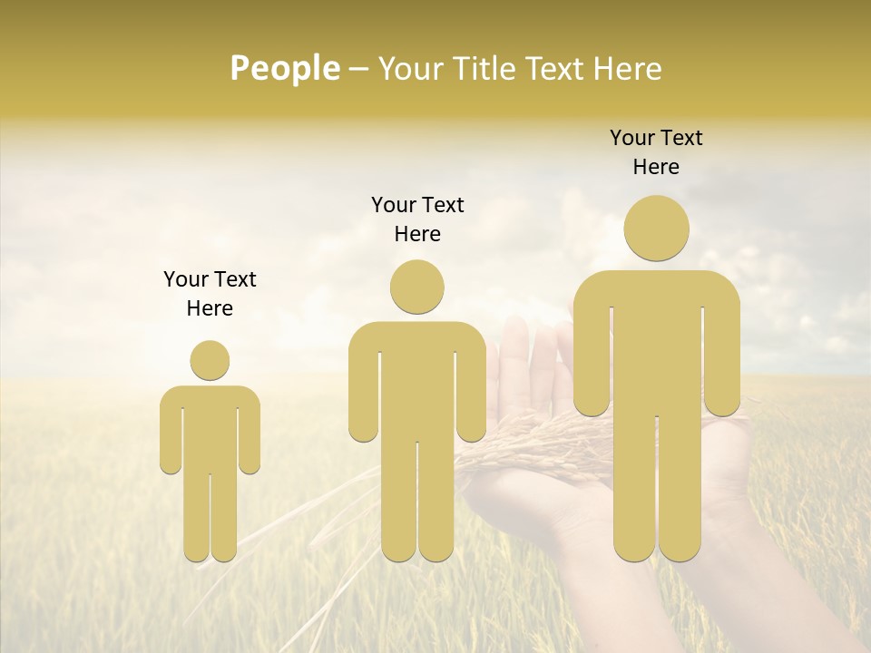 Farm Crop Harvest PowerPoint Template