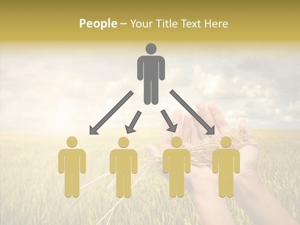 Farm Crop Harvest PowerPoint Template