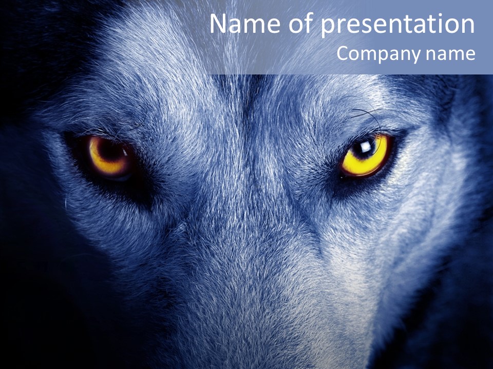 Eyes Nature Snout PowerPoint Template