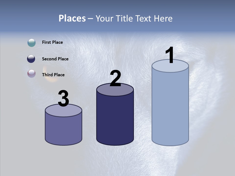 Eyes Nature Snout PowerPoint Template