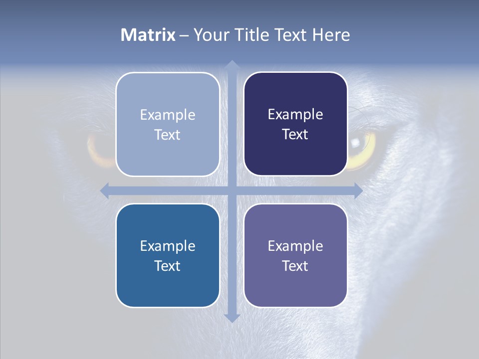 Eyes Nature Snout PowerPoint Template