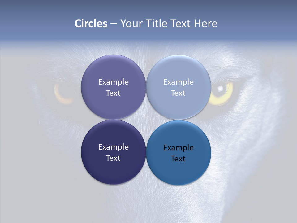 Eyes Nature Snout PowerPoint Template