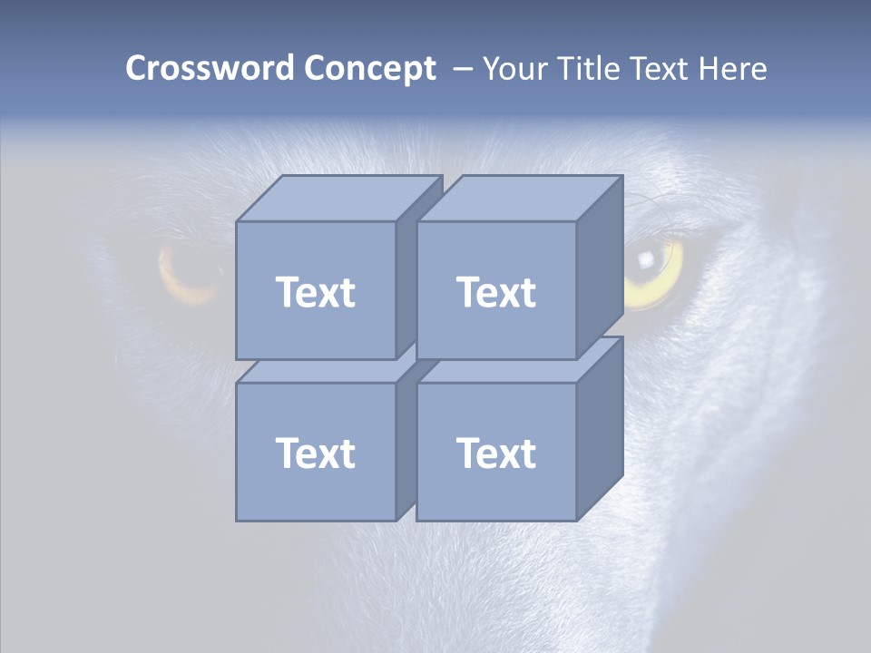 Eyes Nature Snout PowerPoint Template