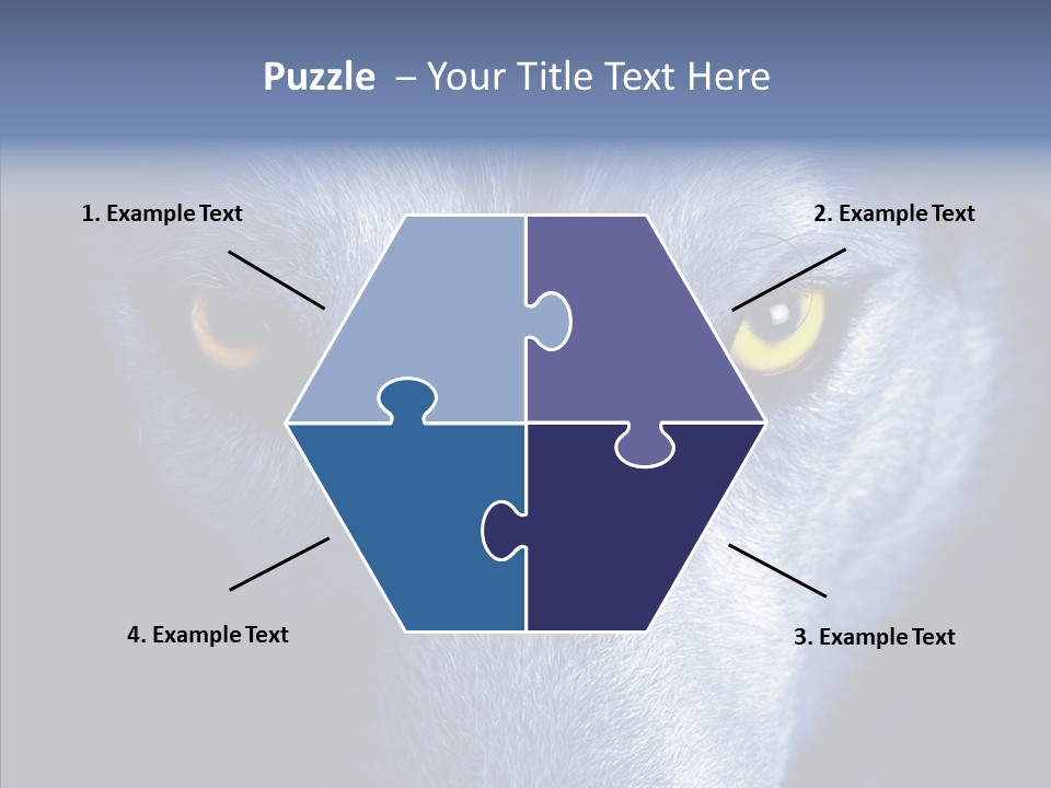 Eyes Nature Snout PowerPoint Template