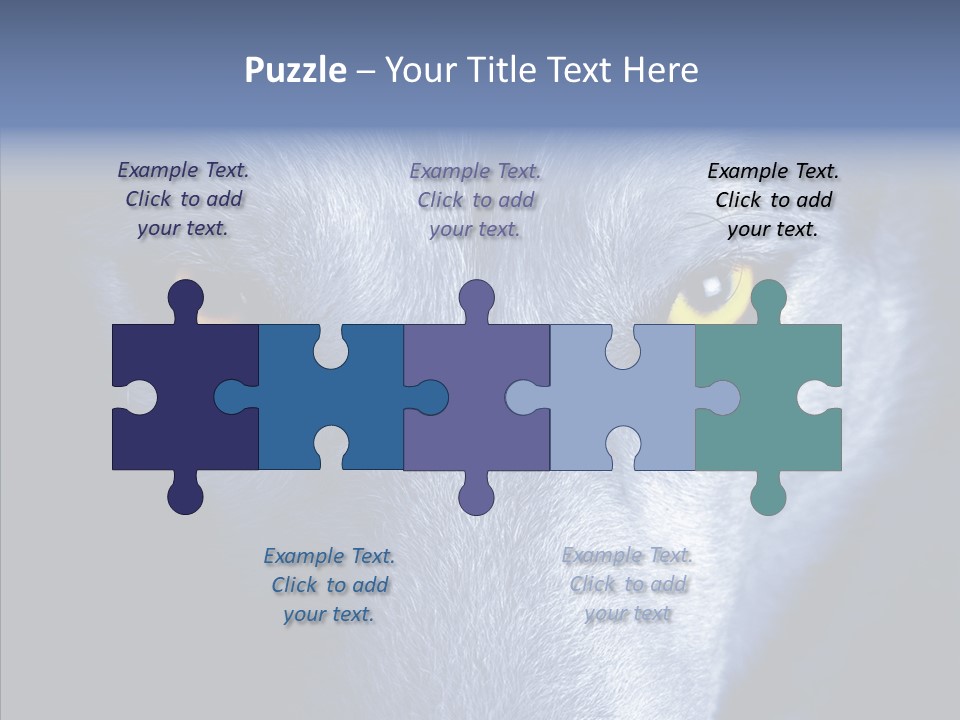 Eyes Nature Snout PowerPoint Template