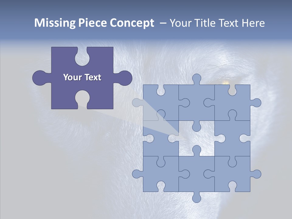 Eyes Nature Snout PowerPoint Template