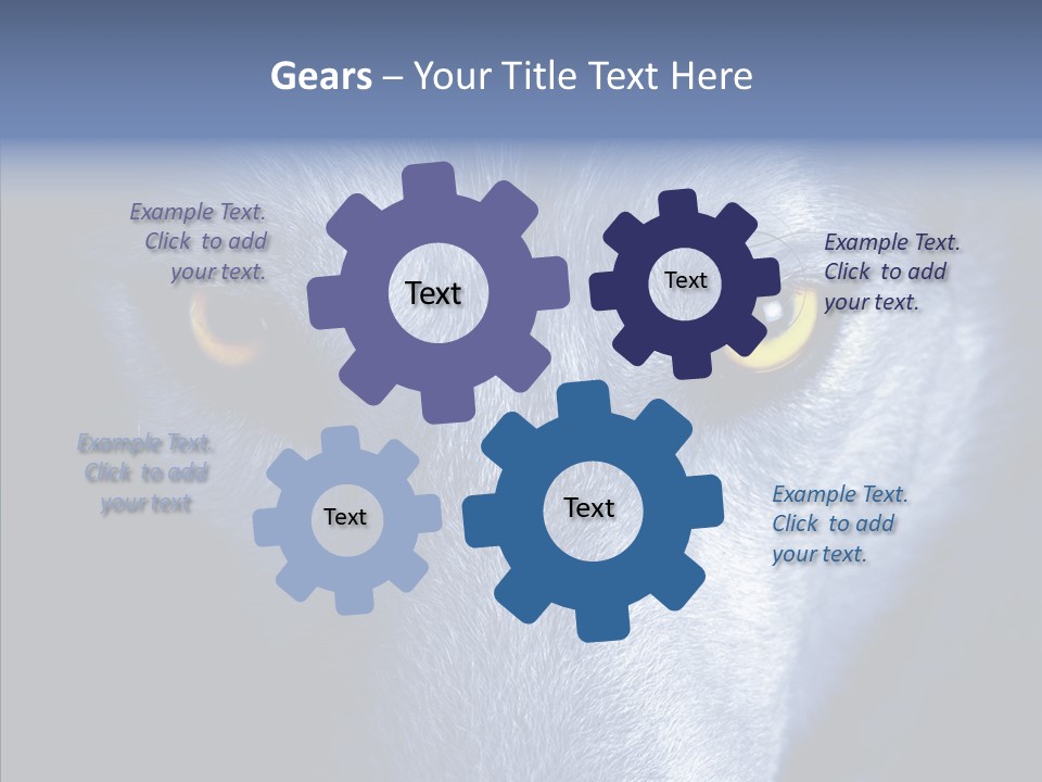 Eyes Nature Snout PowerPoint Template