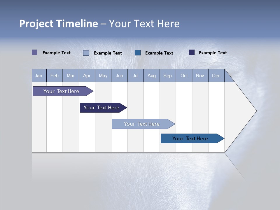 Eyes Nature Snout PowerPoint Template