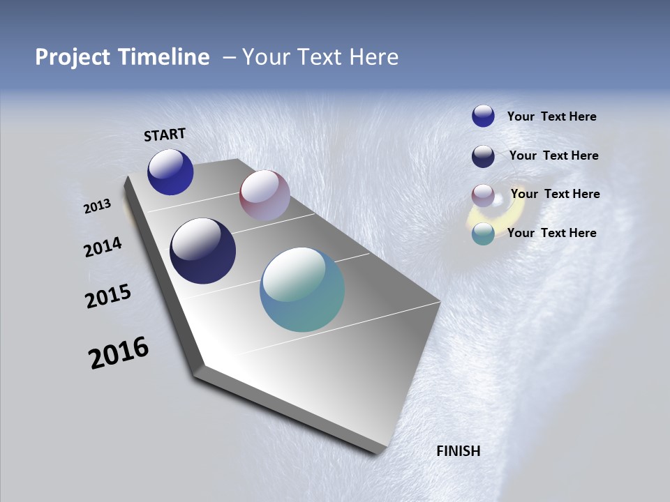 Eyes Nature Snout PowerPoint Template