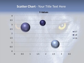 Eyes Nature Snout PowerPoint Template