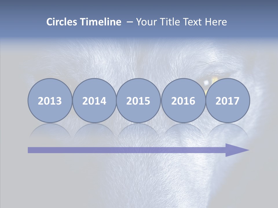 Eyes Nature Snout PowerPoint Template