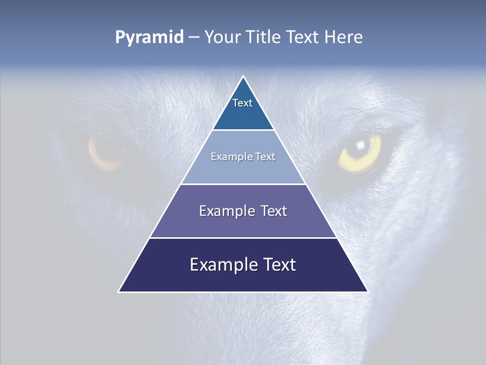 Eyes Nature Snout PowerPoint Template