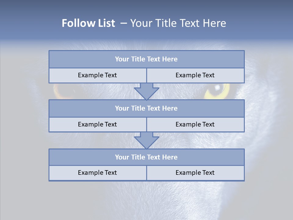 Eyes Nature Snout PowerPoint Template
